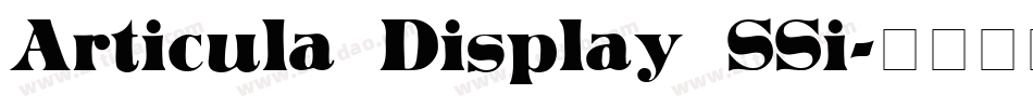 Articula Display SSi字体转换